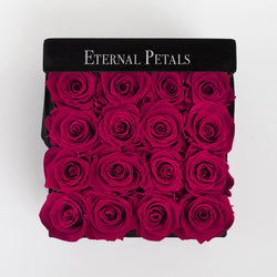 FUCHSIA | BLACK FLOWER BOX