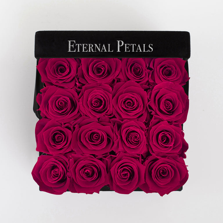 FUCHSIA | BLACK FLOWER BOX