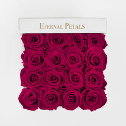 FUCHSIA | WHITE FLOWER BOX