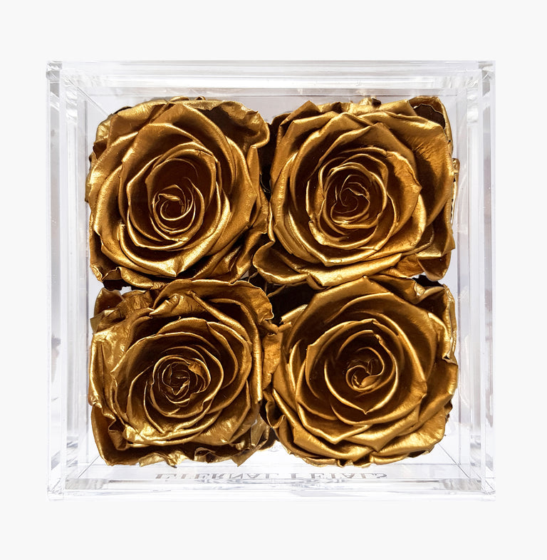 QUARTET | GOLD