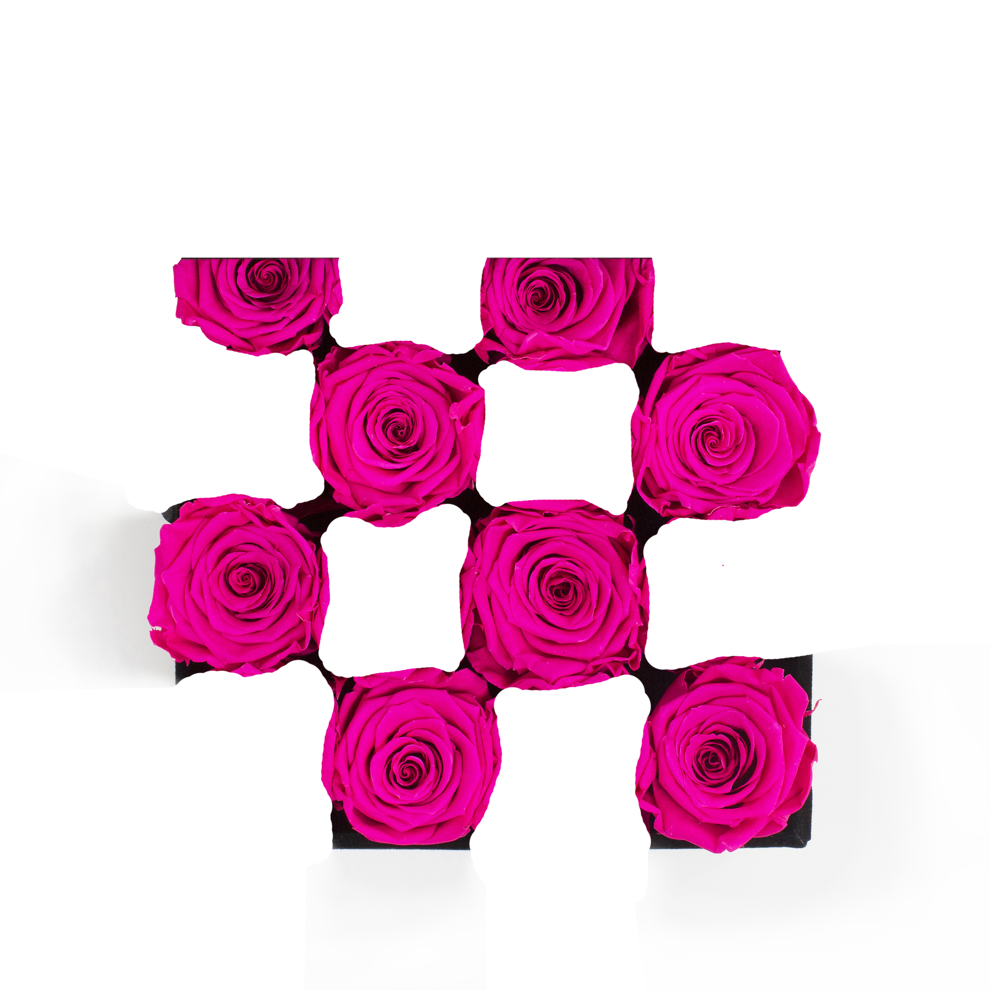 SECOND ROSE COLOR - HOT PINK