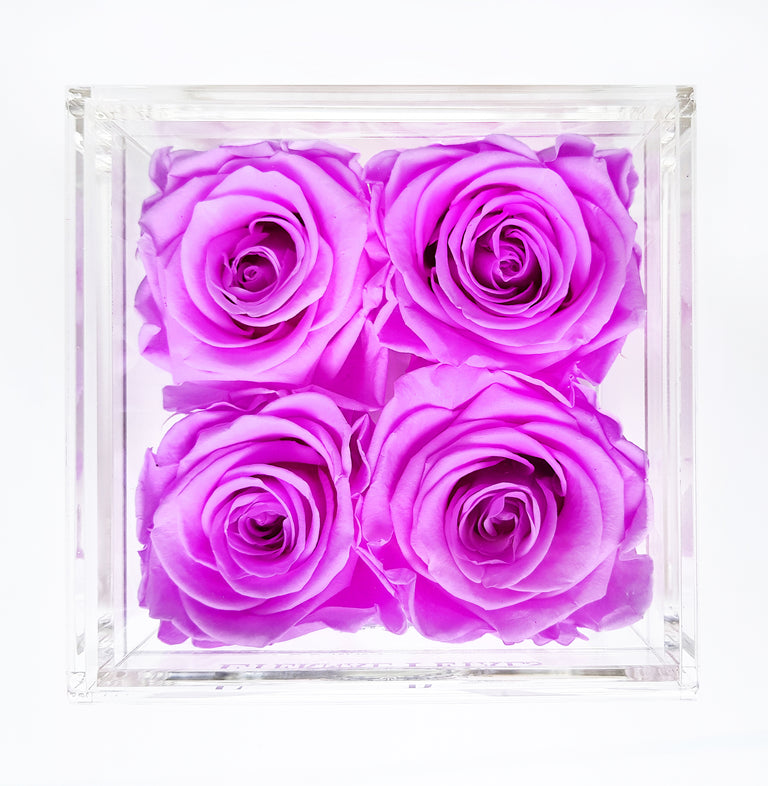 QUARTET | LILAC