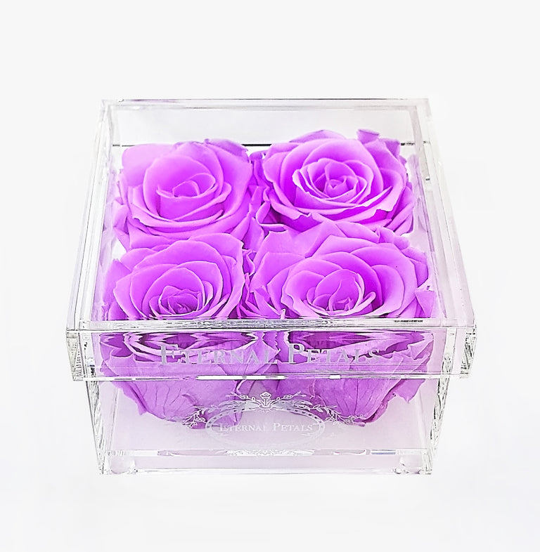 QUARTET | LILAC