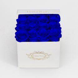 MIDNIGHT | WHITE FLOWER BOX
