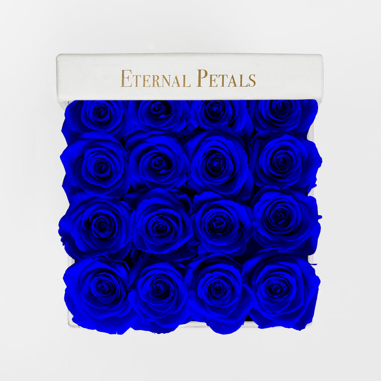 MIDNIGHT | WHITE FLOWER BOX
