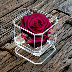 DIAMOND | MON CHERI