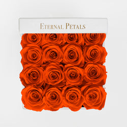 ORANGE | WHITE FLOWER BOX