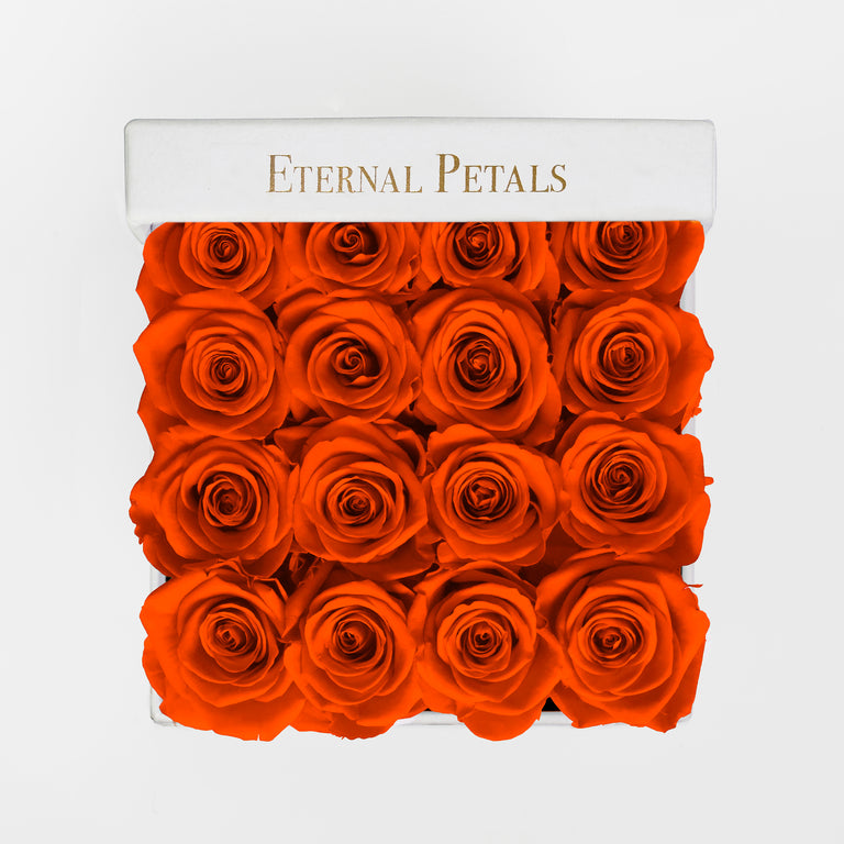 ORANGE | WHITE FLOWER BOX
