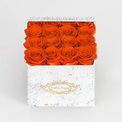 ORANGE | MARBLE