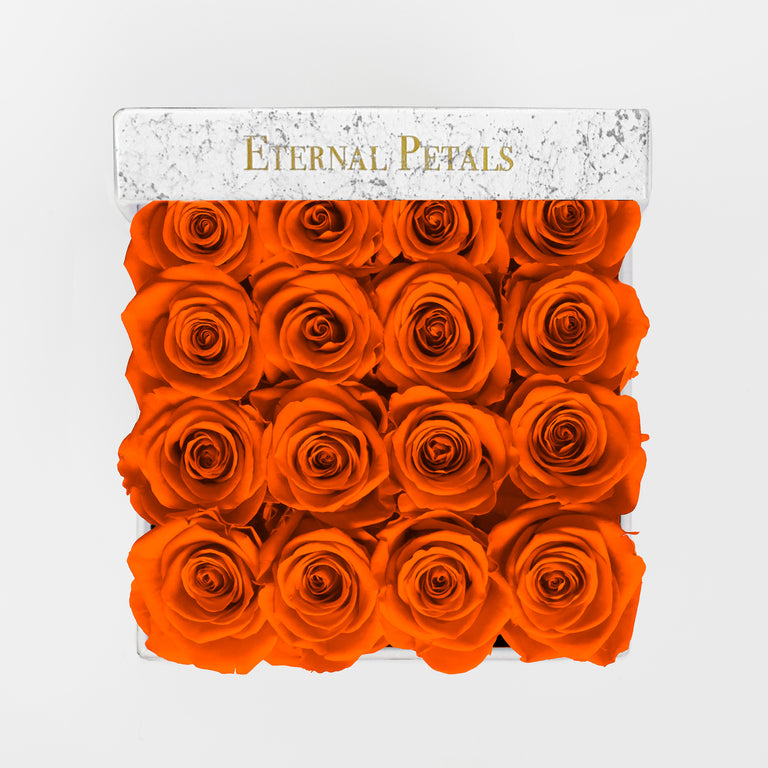 ORANGE | MARBLE