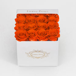 ORANGE | WHITE FLOWER BOX