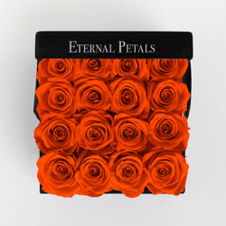 ORANGE | BLACK FLOWER BOX