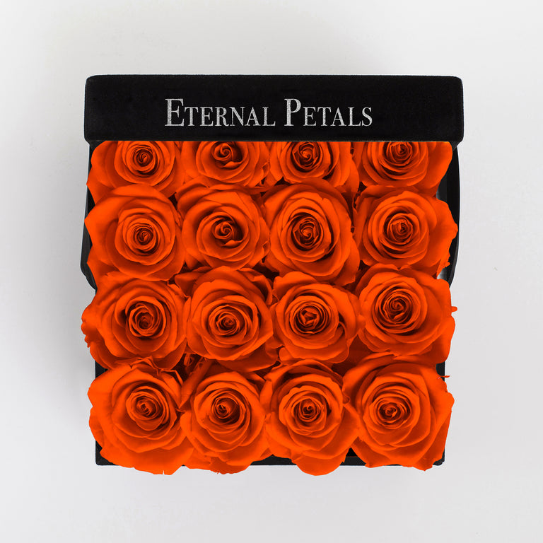 ORANGE | BLACK FLOWER BOX