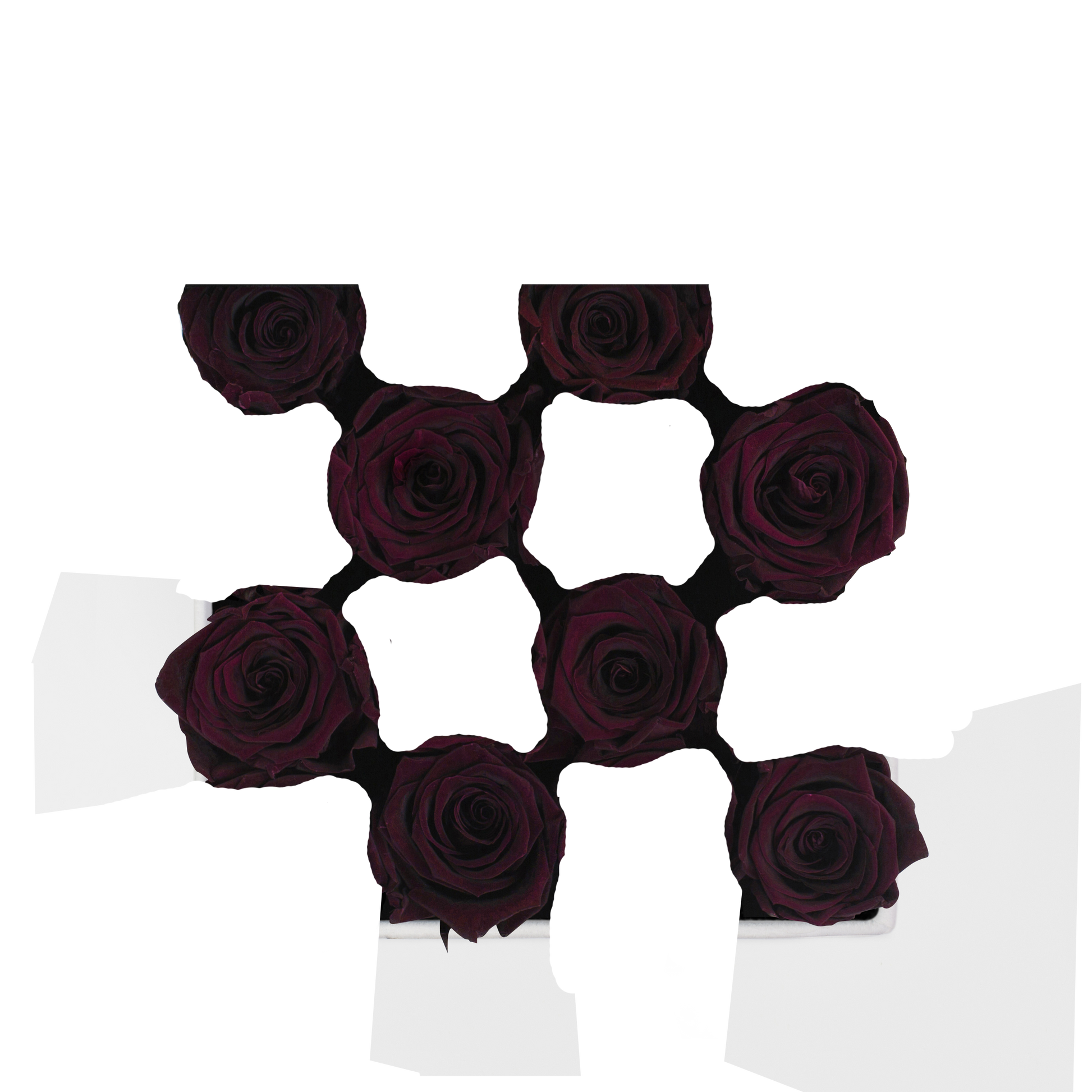 SECOND ROSE COLOR - PURPLE QUEEN