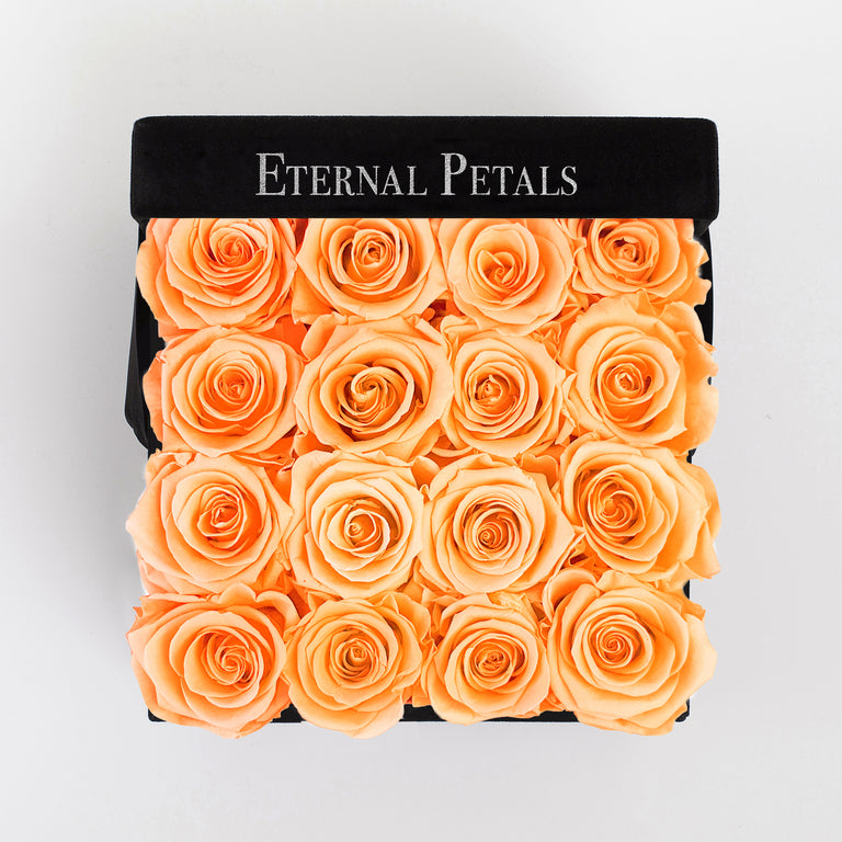 PEACH | BLACK FLOWER BOX