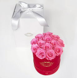 PINK | ROUND RED