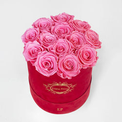 PINK | ROUND RED
