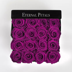 PLUM | BLACK FLOWER BOX
