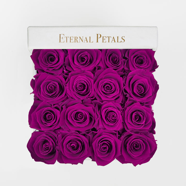 PLUM | WHITE FLOWER BOX