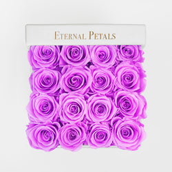 LILAC | WHITE FLOWER BOX