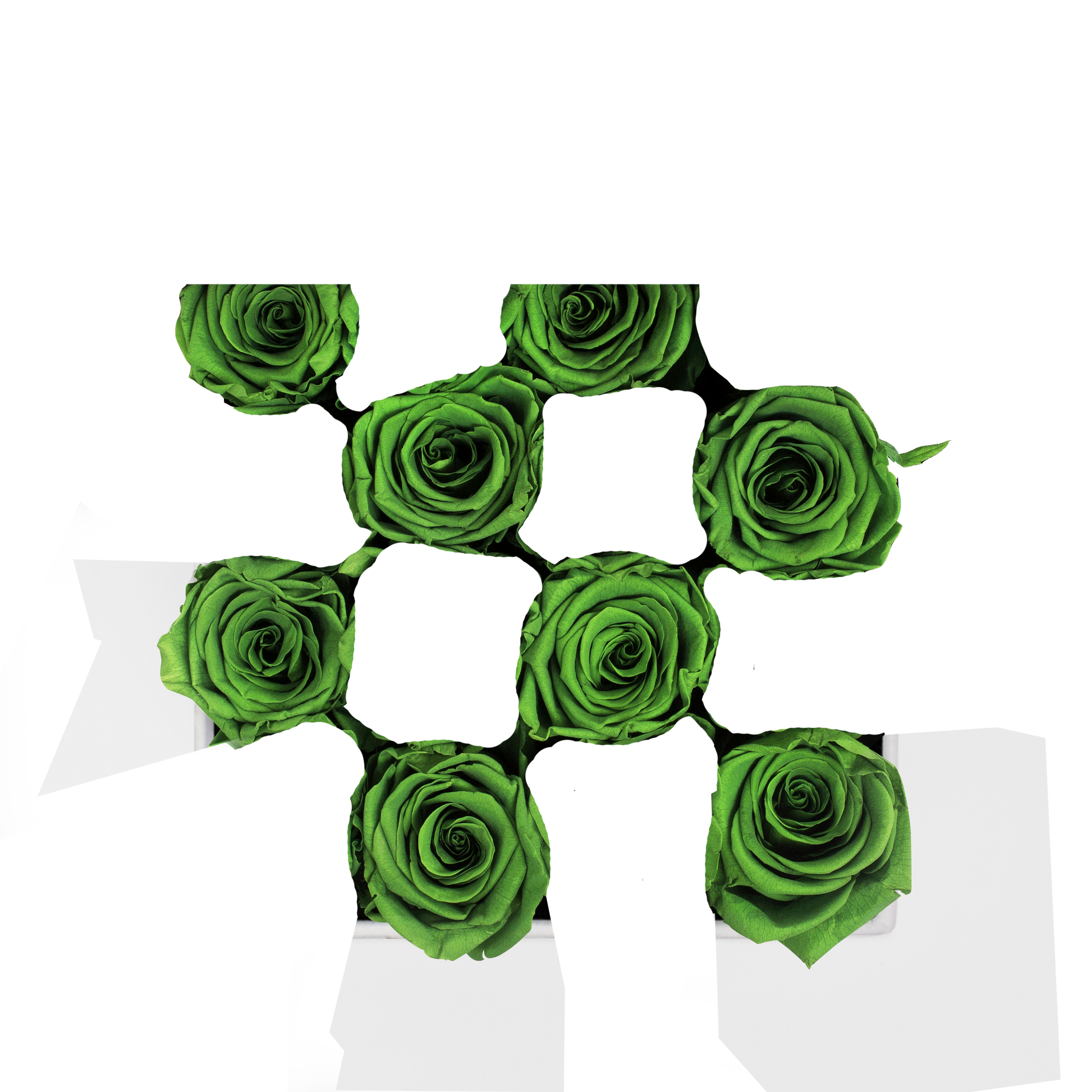 SECOND ROSE COLOR - RICHIE RICH