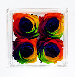 QUARTET | RAINBOW