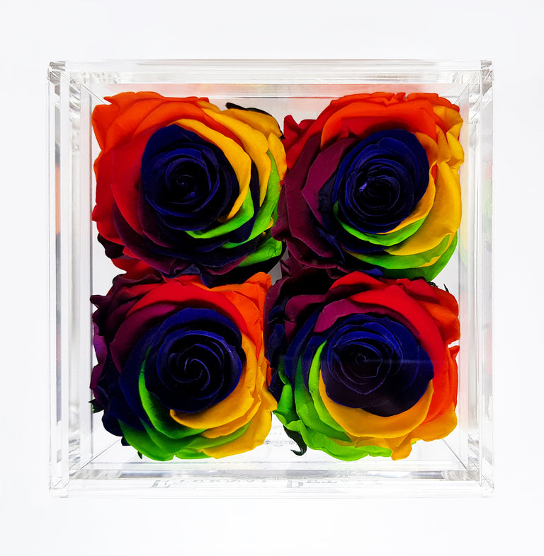 QUARTET | RAINBOW