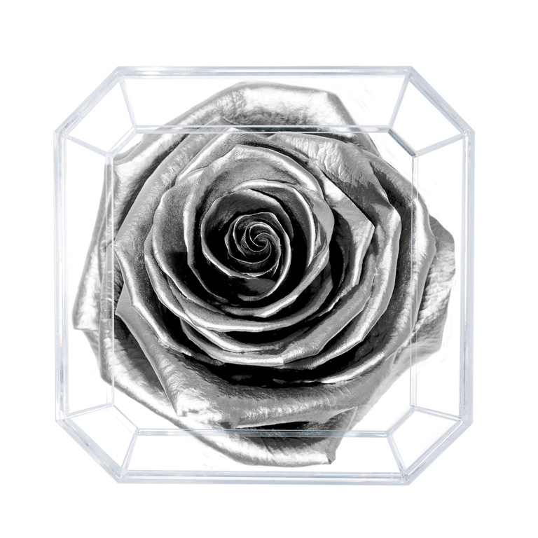 SOLO | SILVER