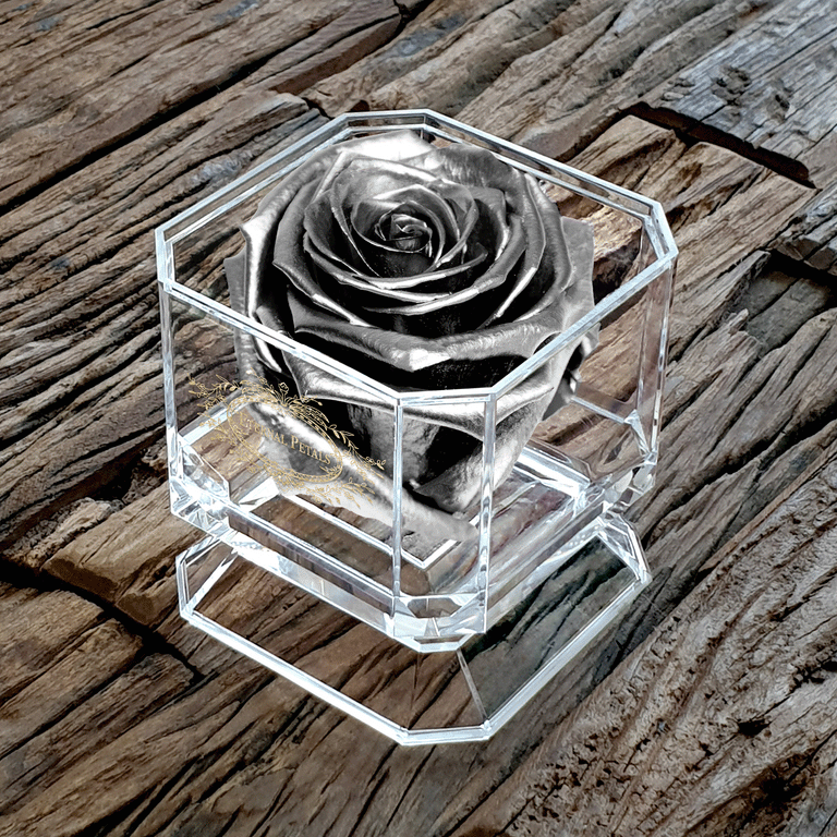 SOLO | SILVER