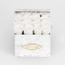 SNOW WHITE | MARBLE
