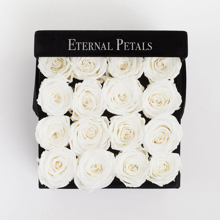 SNOW WHITE | BLACK FLOWER BOX