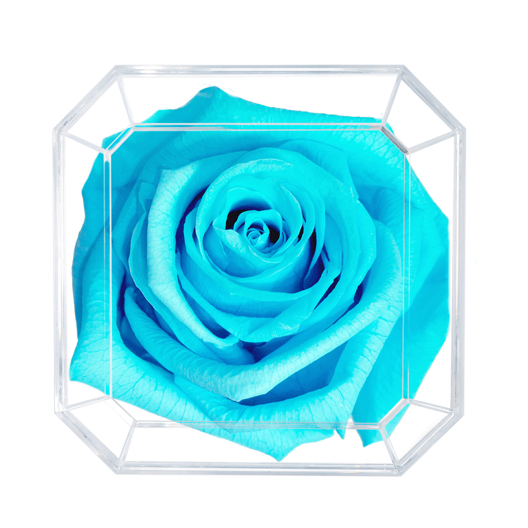 SOLO | TIFFANY