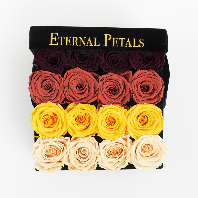WARM OMBRE | BLACK FLOWER BOX