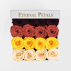 WARM OMBRE | WHITE FLOWER BOX
