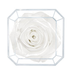 DIAMOND | WHITE SATIN