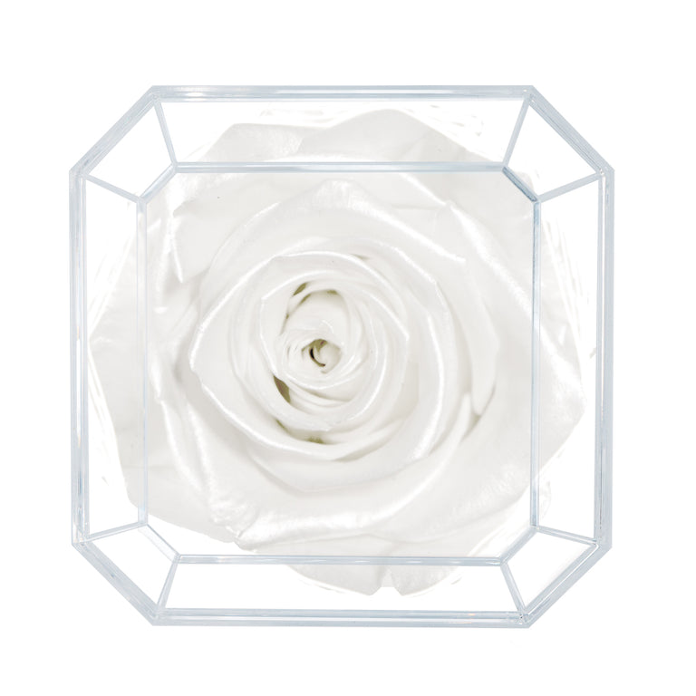 SOLO | WHITE SATIN