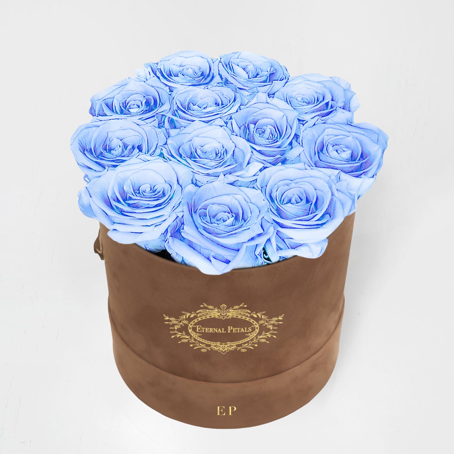 BABY BLUE | BROWN SUEDE