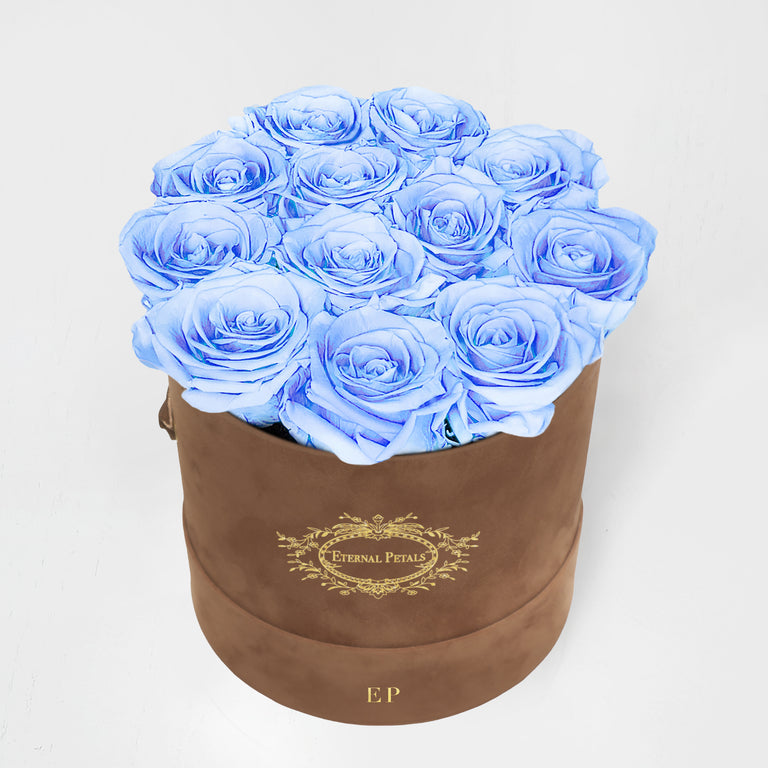 BABY BLUE | BROWN SUEDE