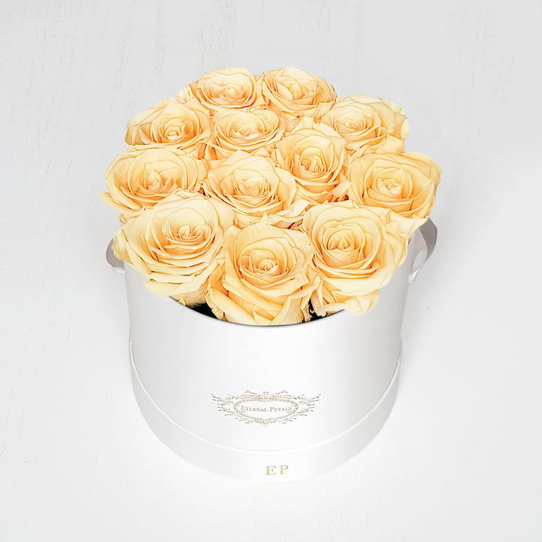CHAMPAGNE | ROUND WHITE
