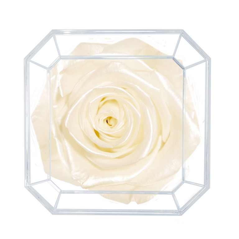 SOLO | CHAMPAGNE SATIN