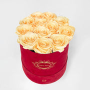 CHAMPAGNE | ROUND RED