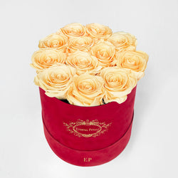 CHAMPAGNE | ROUND RED