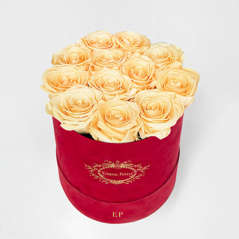 CHAMPAGNE | ROUND RED