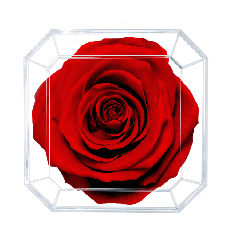 DIAMOND | DEEP LOVE