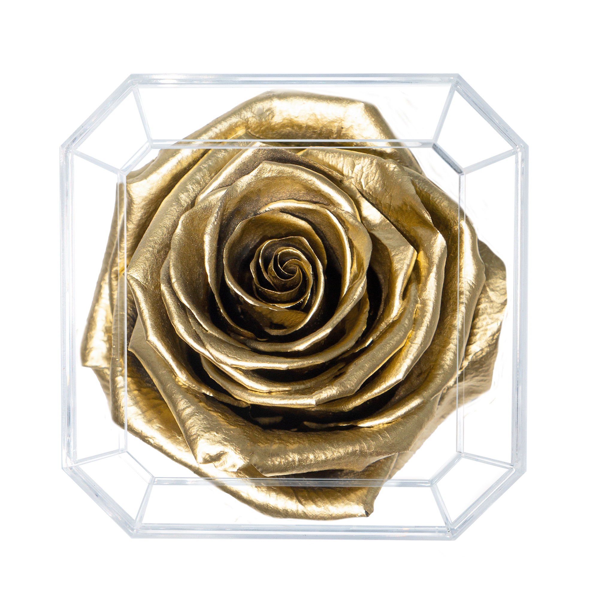 SOLO | GOLD