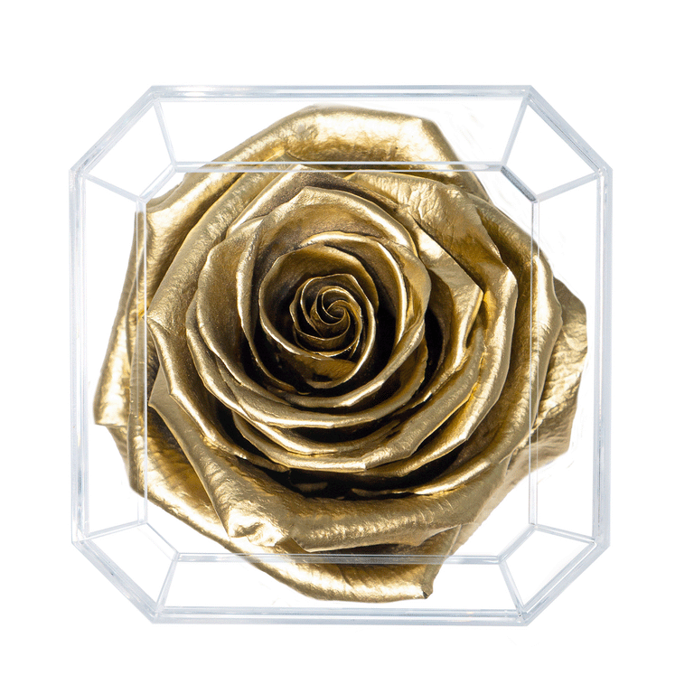 SOLO | GOLD