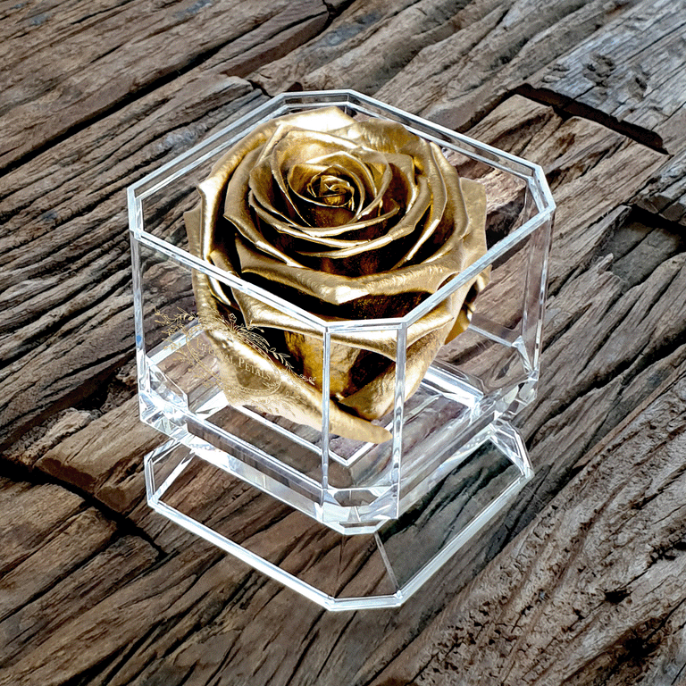 SOLO | GOLD