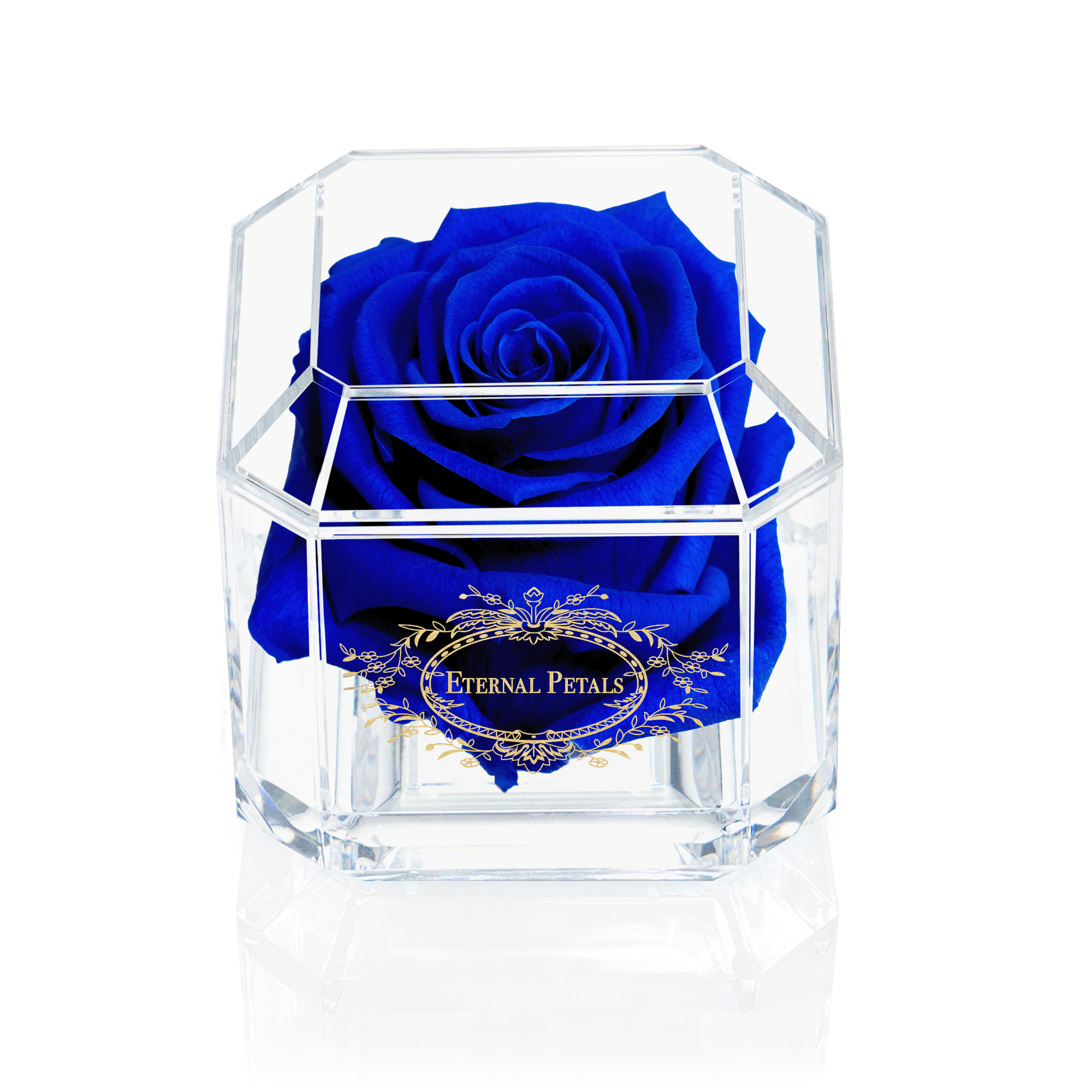 Eternal Blossompreserved Real Long Stem Infinity Rose Eternal Rose That | Desertcart