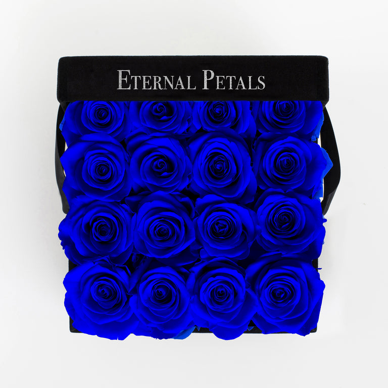 MIDNIGHT | BLACK FLOWER BOX