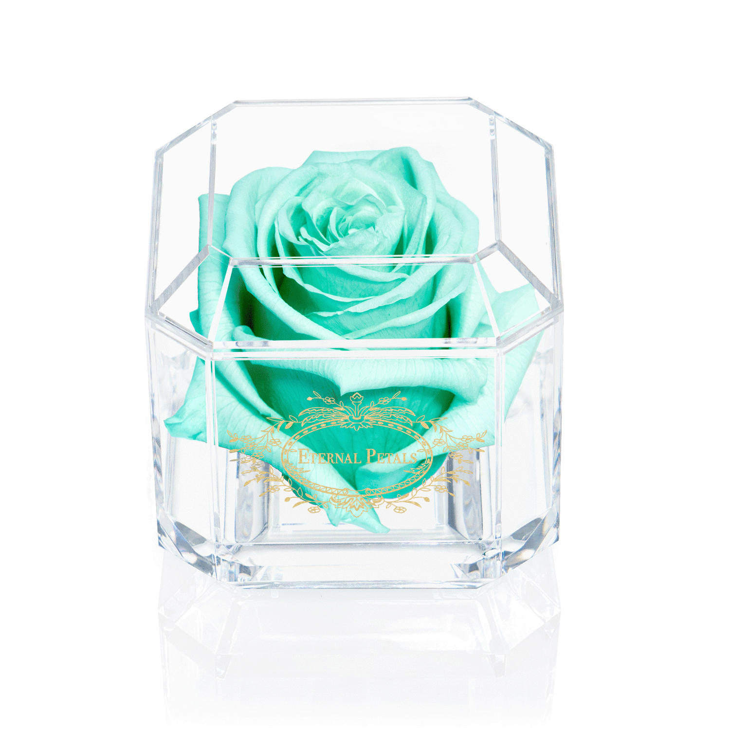 DIAMOND | MINT